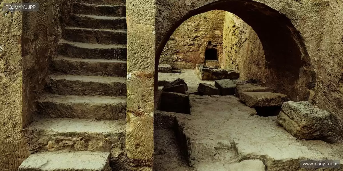 👷 伴随操作杆的微妙反馈，驾驶员仿佛与机器融为一体 🔧